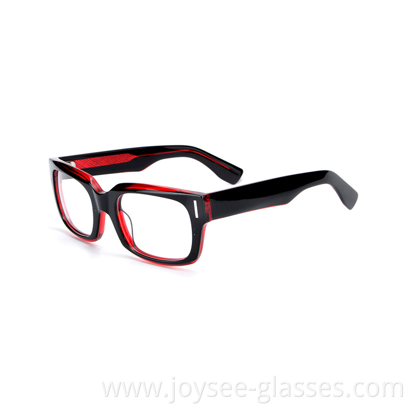 Polished Eyeglasses 6